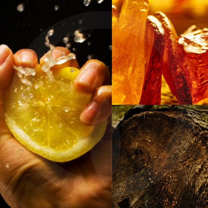 Citrus Oud 200ml