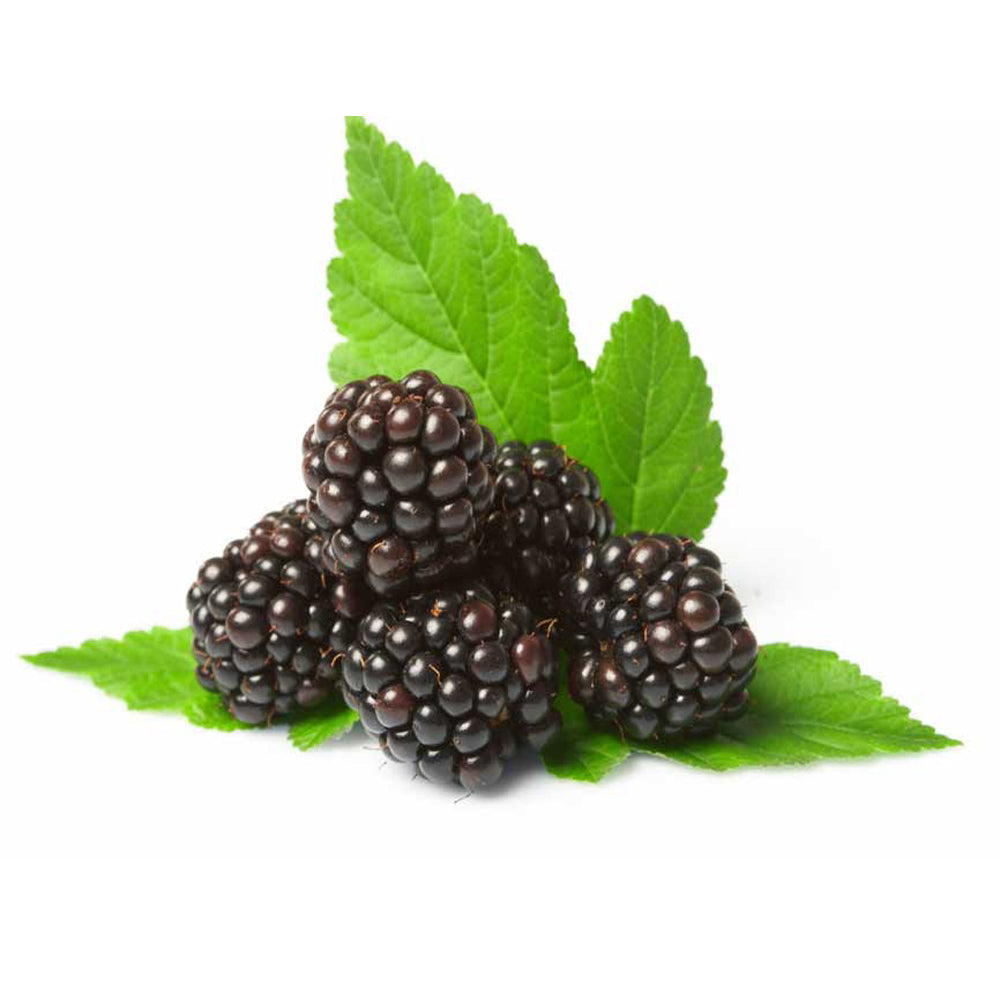 Dewberry 200ml