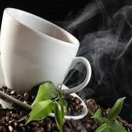 Black Vitivert 100ml