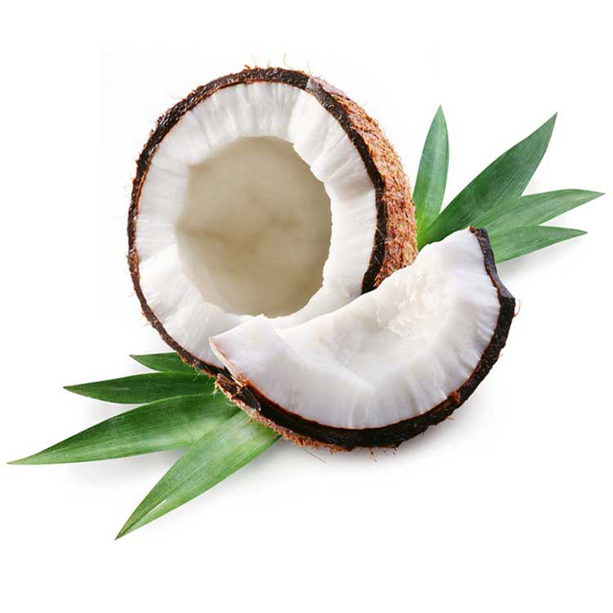 Coconut 100ml